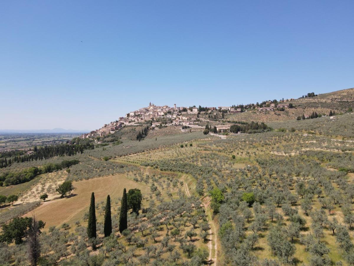 Corte Fratini Appartamenti Trevi Dış mekan fotoğraf
